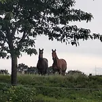 Freche Socke * Buchhorst