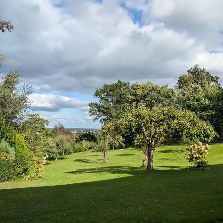 Freche Socke Buchhorst