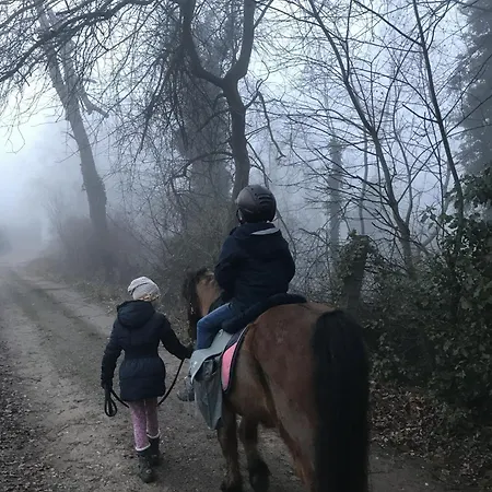 Freche Socke Holiday home Buchhorst